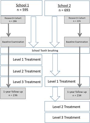 School Based Tooth Brushing and Annual Silver Diammine Fluoride Application as a Highest Priority Package for Achieving Universal Oral Health Care for Cambodian Children